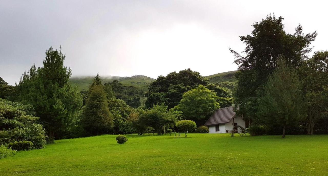 Wild Forest Inn Graskop Eksteriør bilde