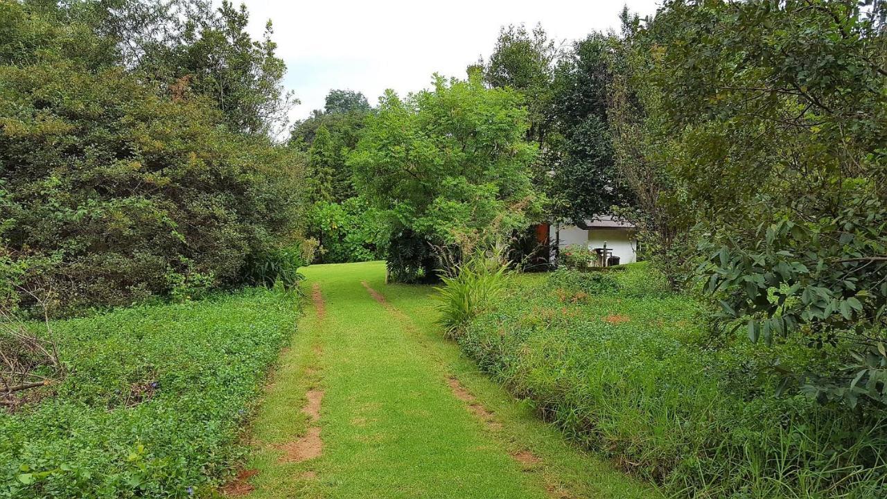 Wild Forest Inn Graskop Eksteriør bilde