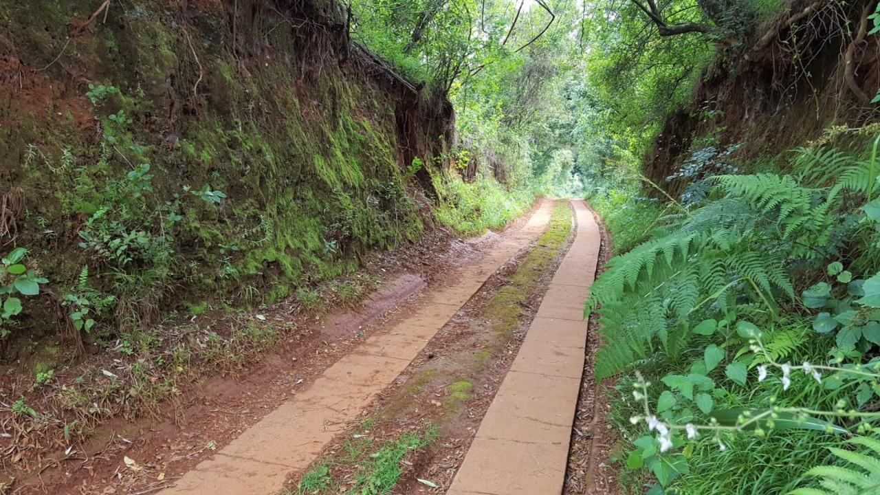 Wild Forest Inn Graskop Eksteriør bilde