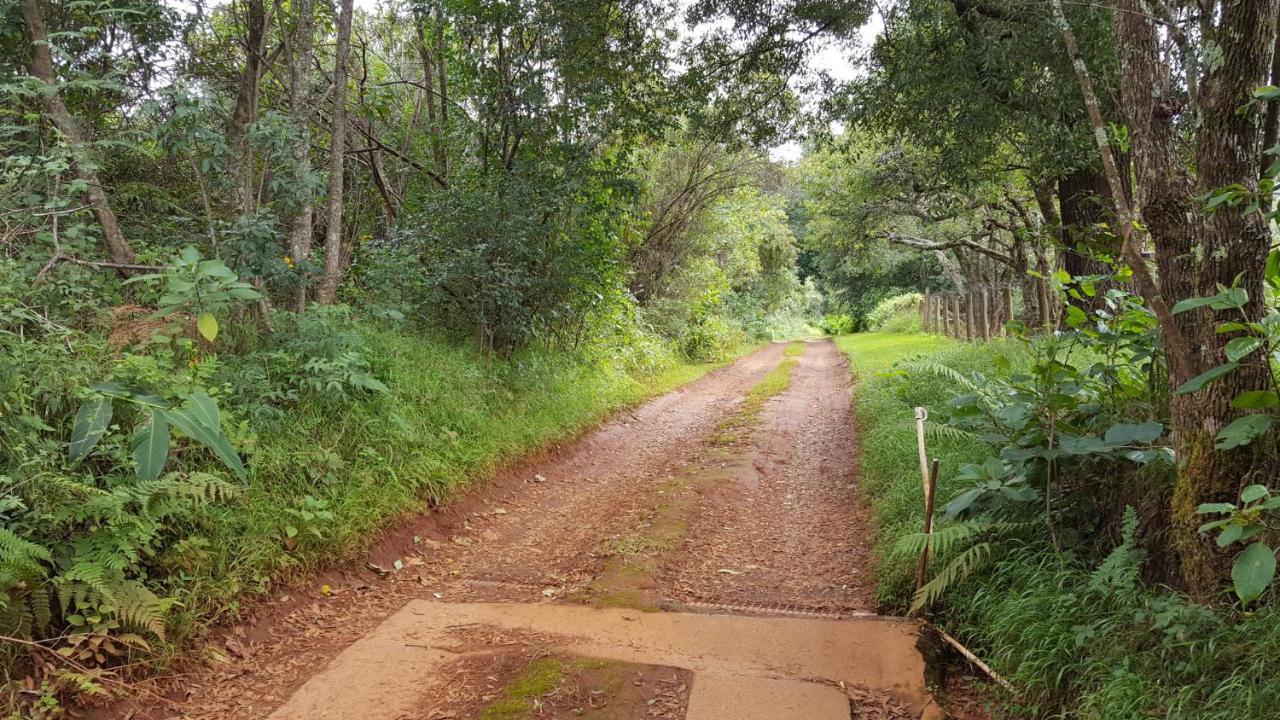 Wild Forest Inn Graskop Eksteriør bilde