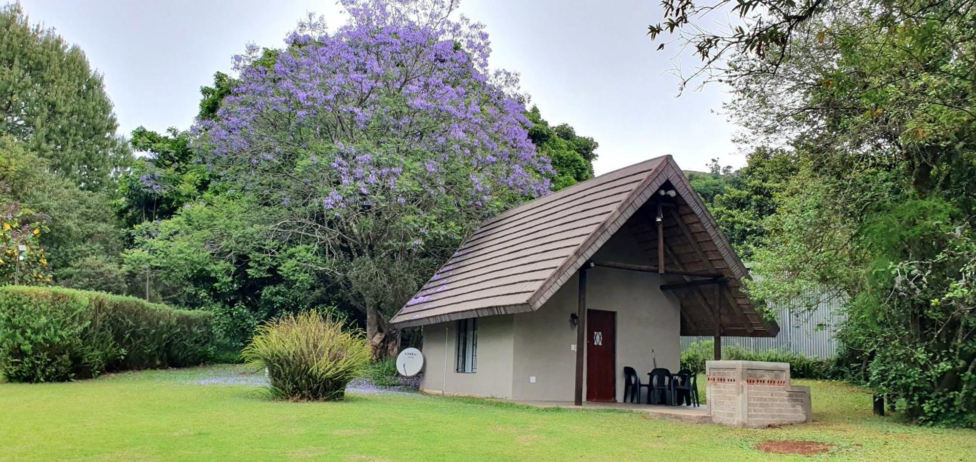 Wild Forest Inn Graskop Eksteriør bilde