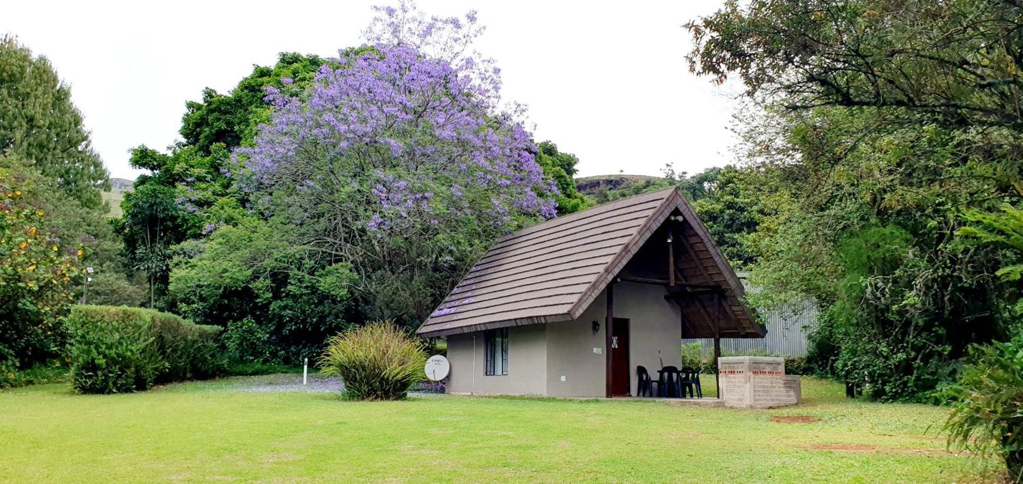 Wild Forest Inn Graskop Eksteriør bilde