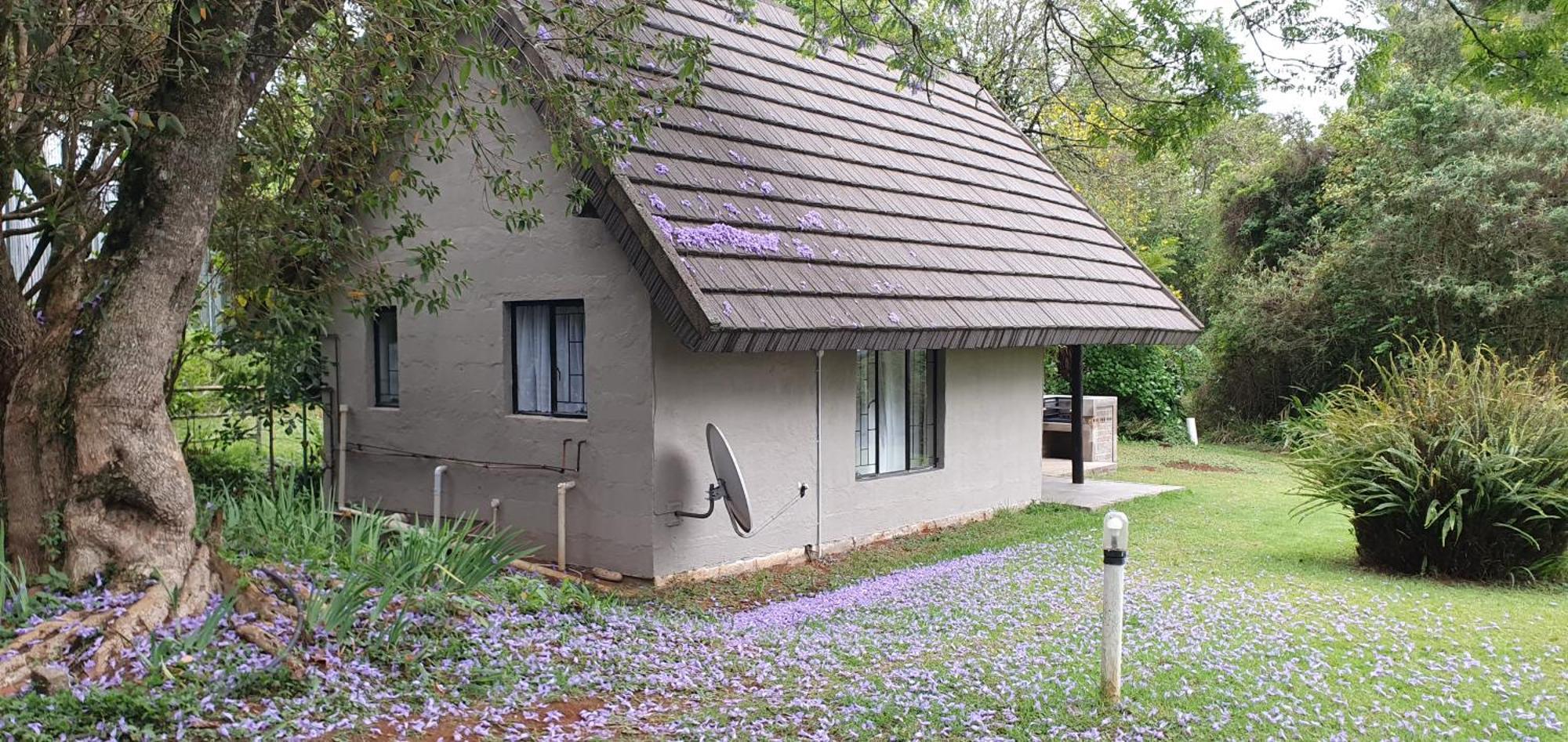 Wild Forest Inn Graskop Eksteriør bilde